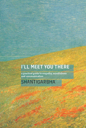 I'll Meet You There: a practical guide to empathy, mindfulness and communication
