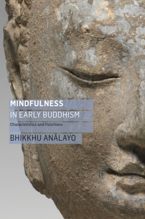 Mindfulness in Early Buddhism: characteristics and functions