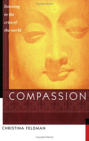 Compassion: listening to the cries of the world