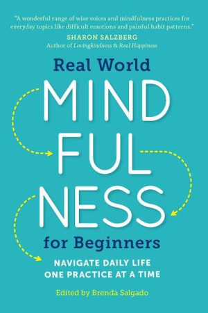 Real World Mindfulness: simple practices for everyday problems